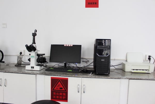 Metallographic microscope